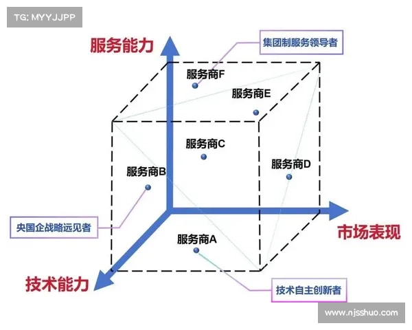 布雷切尔在全球经济转型中的角色与影响力分析 布雷切尔在全球经济转型中的角色与影响力分析